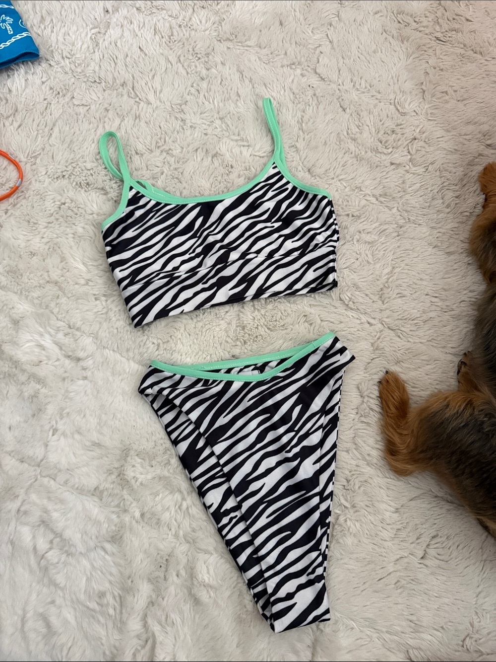 Princess Polly Zebra Print High-Cut Swim with Mint Trim